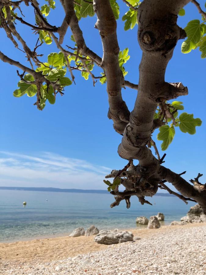 Kuca Za Odmor Baya Villa Stara Baška Kültér fotó